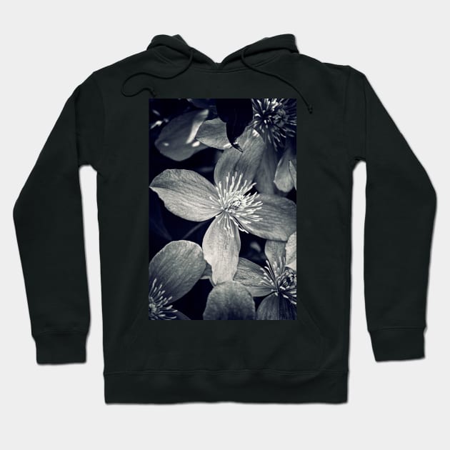 Clematis in Monochrome Hoodie by InspiraImage